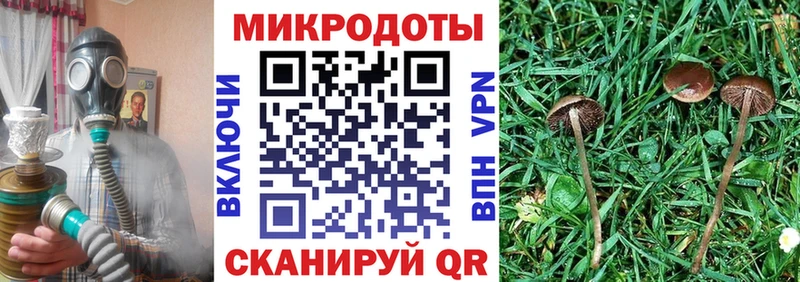 Галлюциногенные грибы мухоморы  МЕГА как войти  Северск 